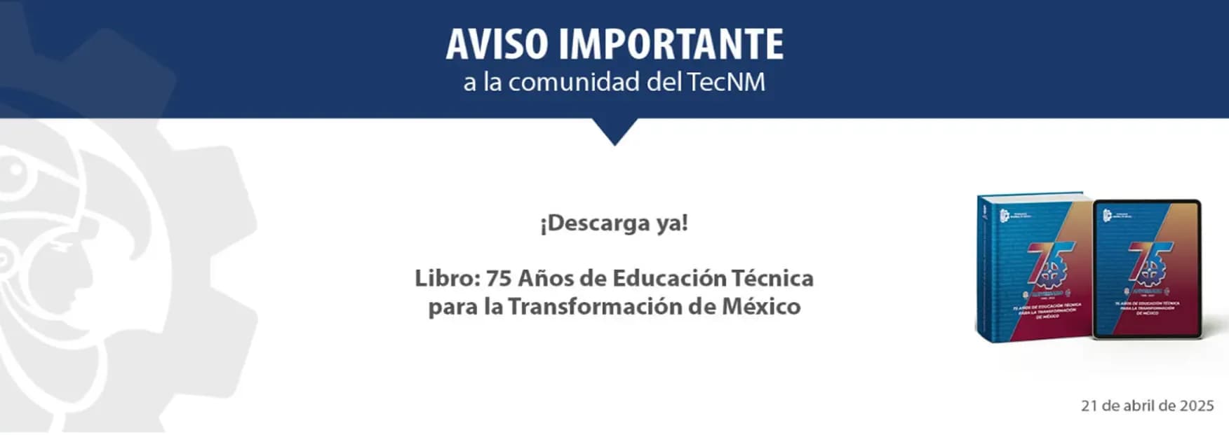 Imagen 5