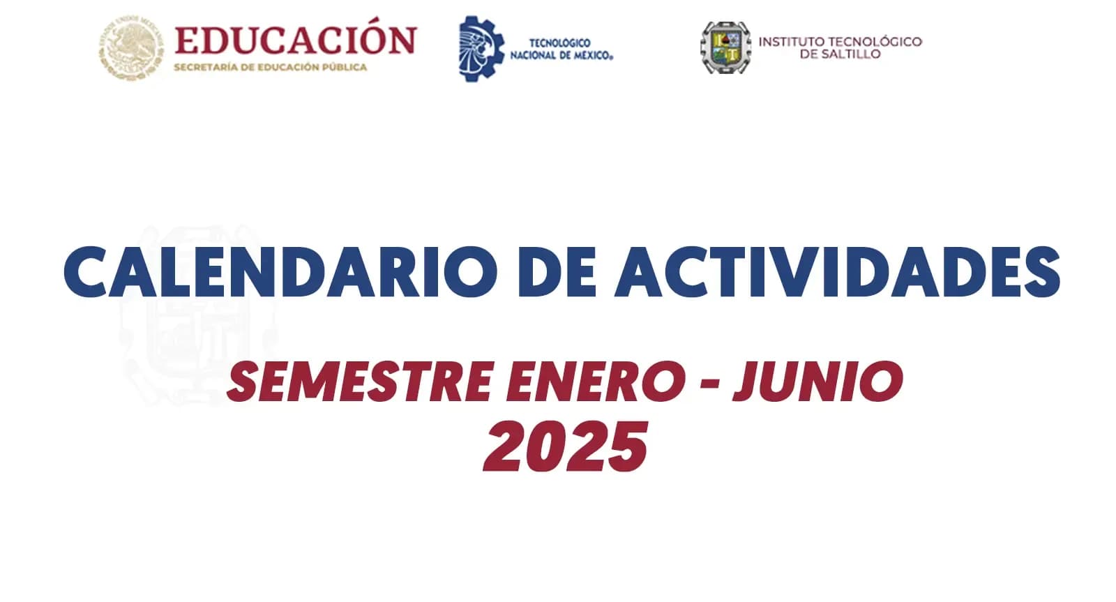 Imagen 13